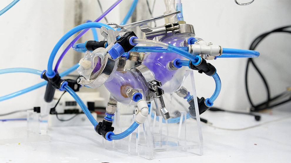 Investigadores de la UNAM crean estómago artificial