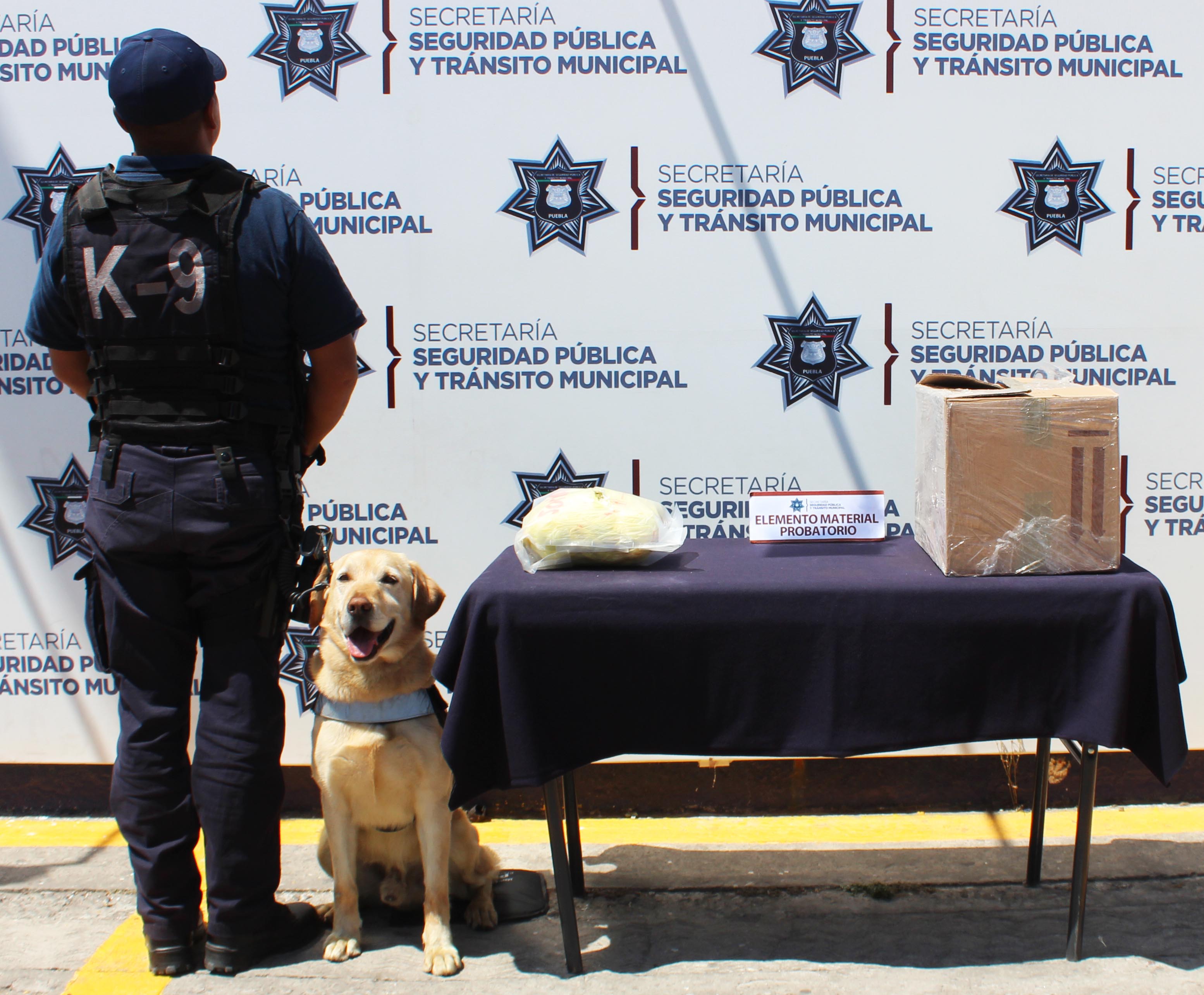 Elemento canino detectó 800 gramos de marihuana