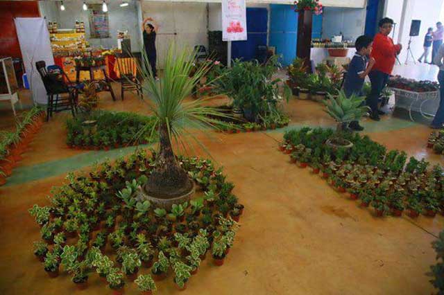 Baja porcentaje de ventas en la Expo Flores y Plantas de Atlixco