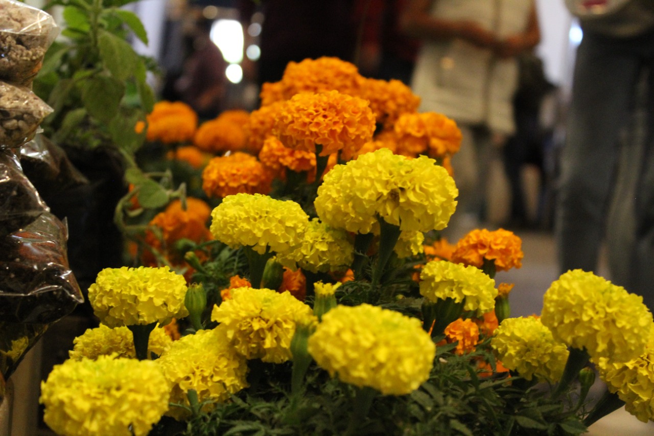 Asiste a la expo de artículos de temporada de Día de Muertos