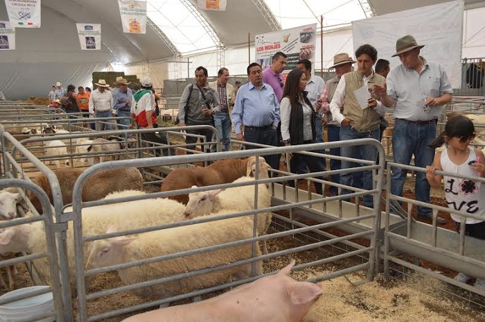 Inauguran Expo Agroalimentaria 2014 en San Pedro Cholula