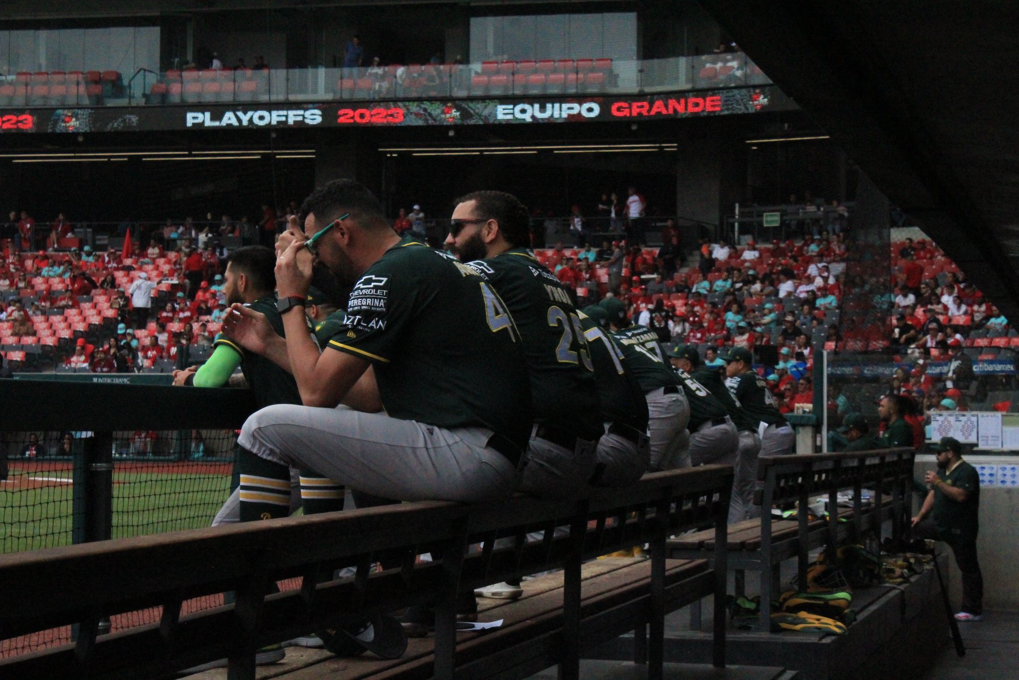 Pericos de Puebla avanza a la final de la Zona Sur