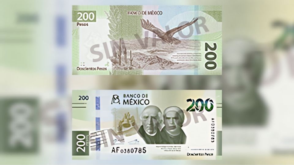 VIDEO Conoce el nuevo billete de 200 pesos