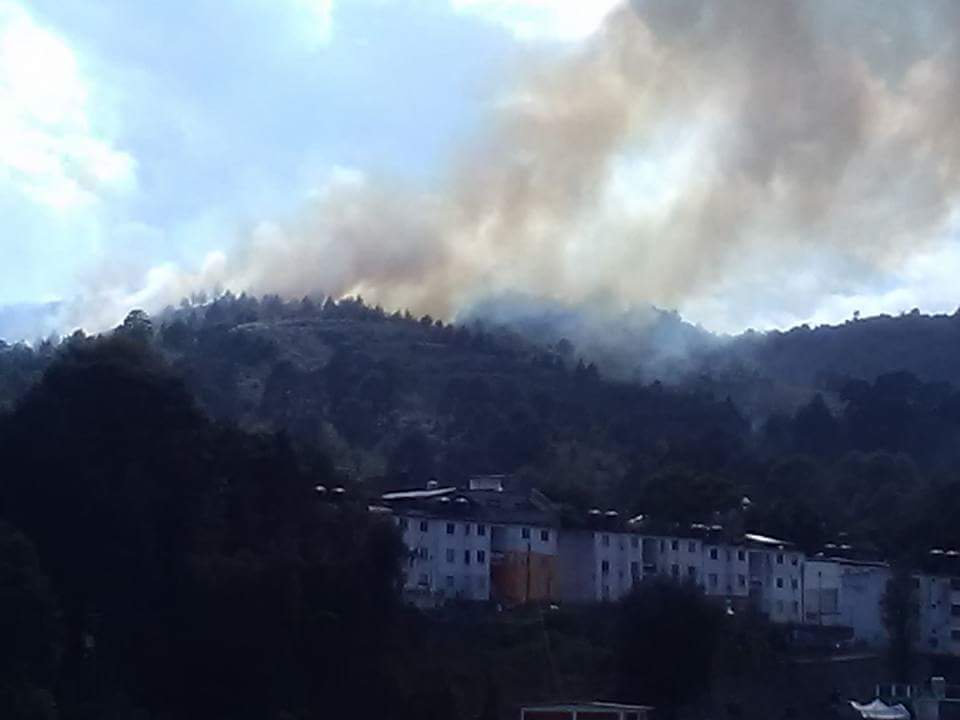 Incendio consume más de 8 hectáreas de bosque en Huauchinango