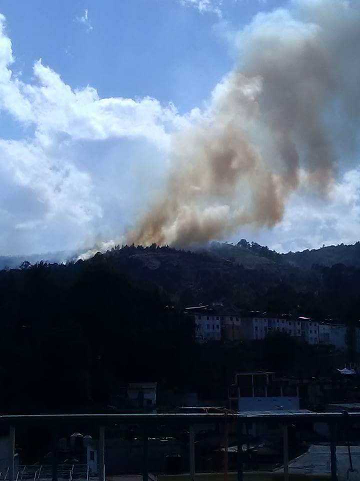 Incendio consume más de 8 hectáreas de bosque en Huauchinango