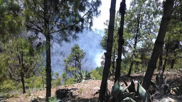 Darán prioridad a rescate forestal tras incendios en Ajalpan