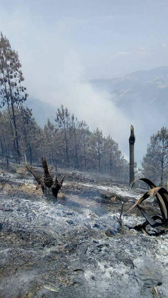 Quema agrícola se sale de control en la Sierra Negra de Puebla