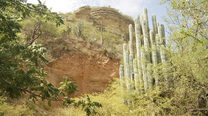 Promoverán antigua Presa Purrón y Cueva del Maíz en Coxcatlan