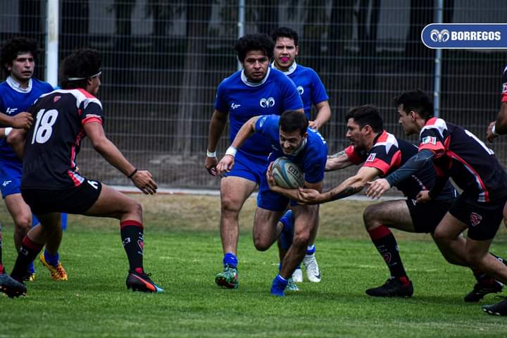 Más Borregos Puebla a las selecciones de rugby