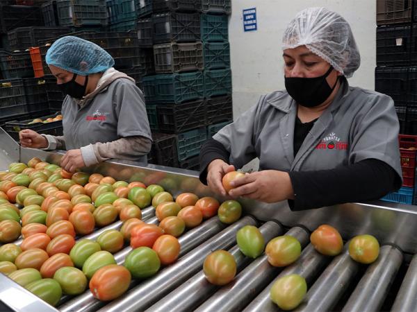 Crecen exportaciones de Puebla en primer trimestre 2022: Economía