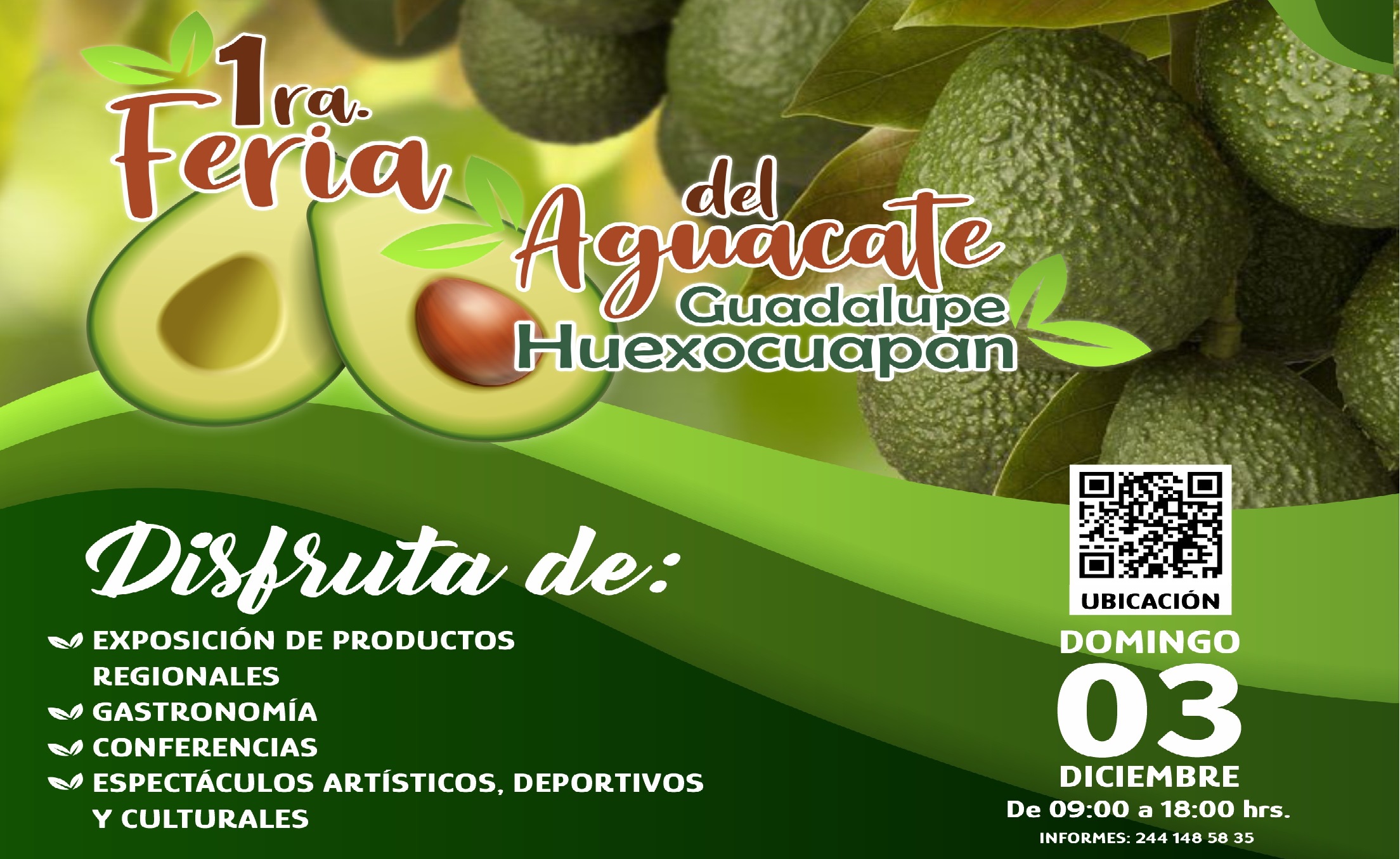 Invitan a la Primera Feria del Aguacate en Atlixco