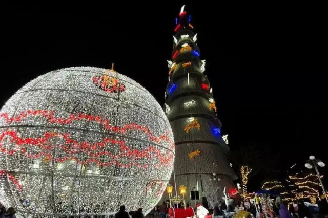 Todo listo para la Feria Nacional del Árbol y la Esfera 2024