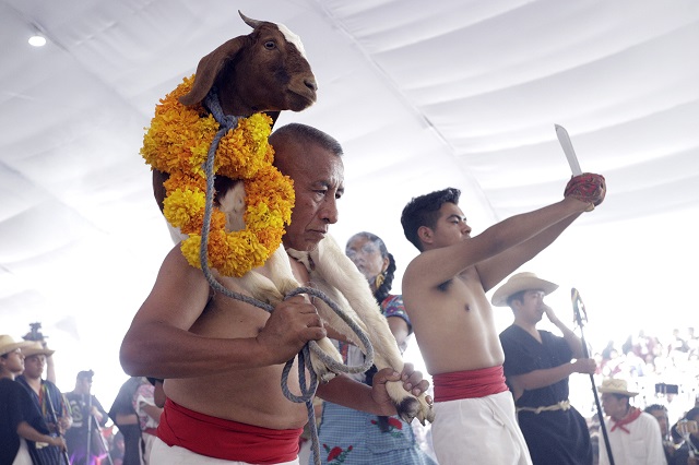 Aún se desconoce si será presencial el Festival de la Matanza en Tehuacán