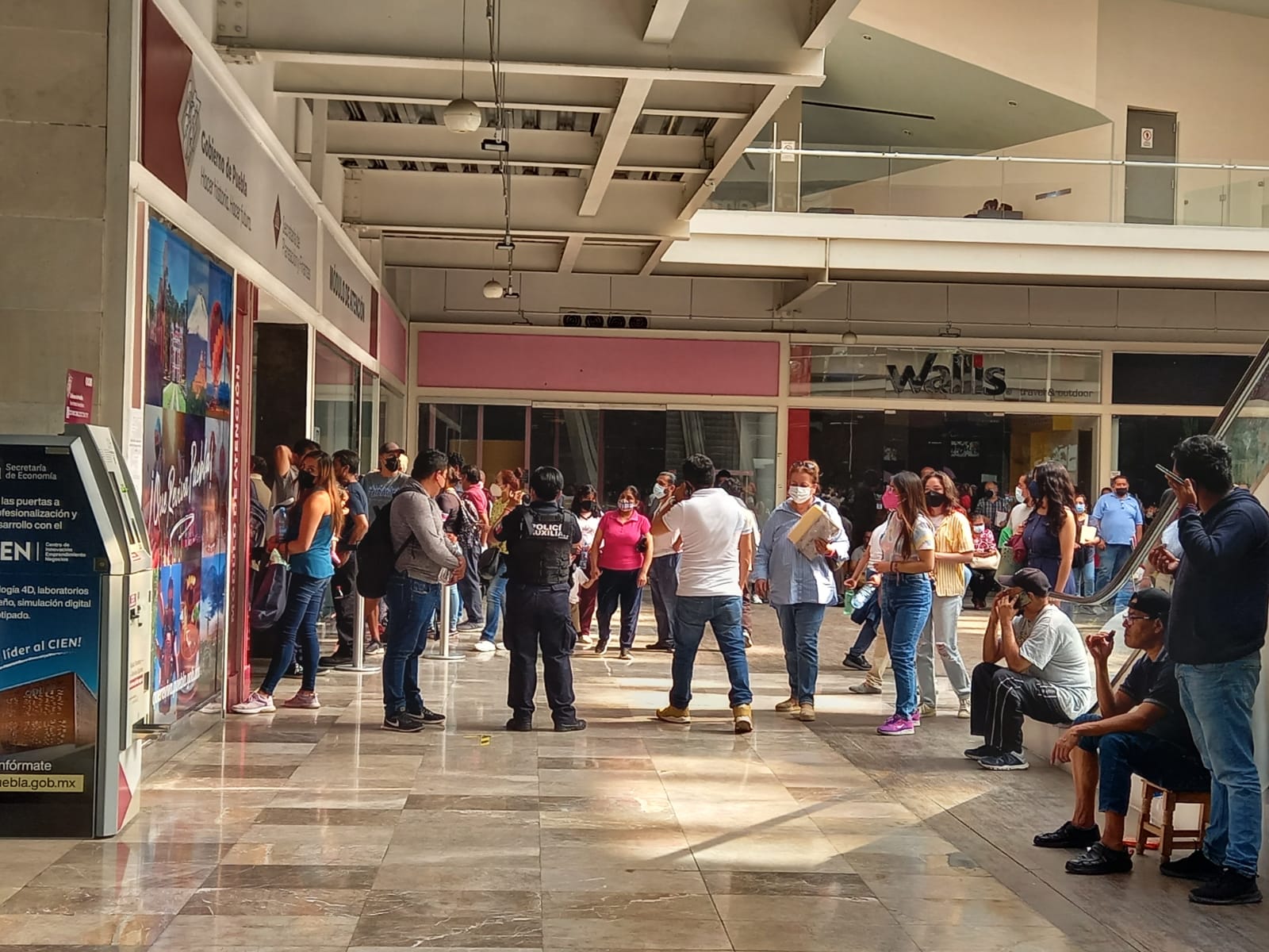 En el último día para pagar el reemplacamiento, se cae el sistema de Finanzas