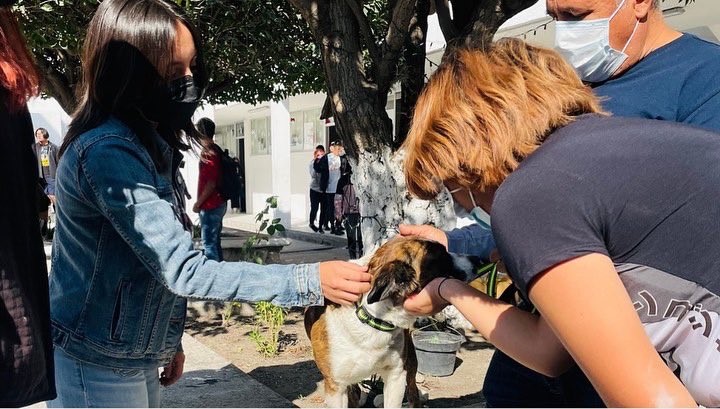 CAETO de la BUAP cumple un año de existencia