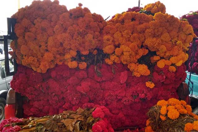 Esperan en Texmelucan vender 300 toneladas de flor de muerto