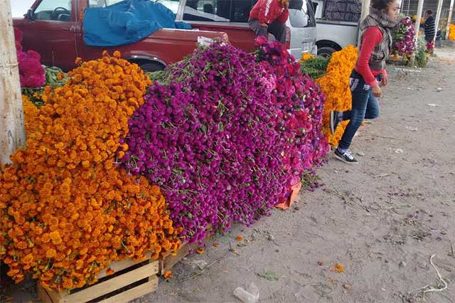 Esperan en Texmelucan vender 300 toneladas de flor de muerto