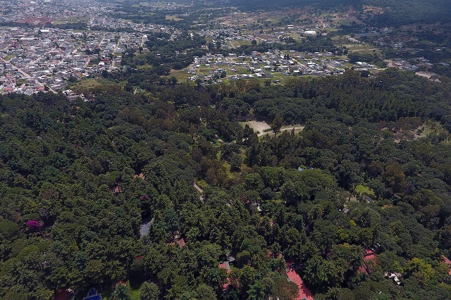 Hay 17 amparos para evitar que Flor del Bosque sea área protegida