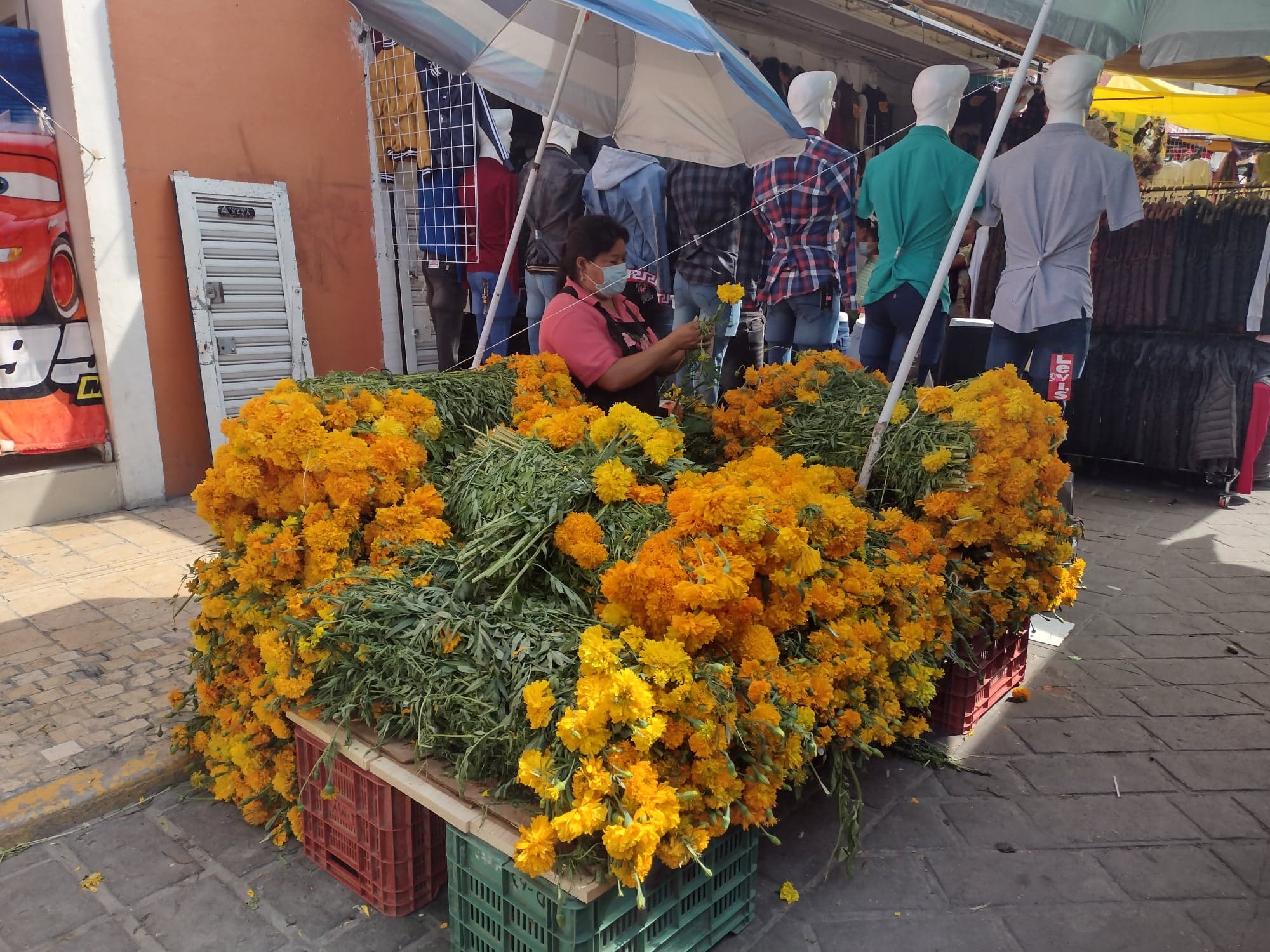 Flor de cempasúchil costará el doble esta temporada en Tehuacán 