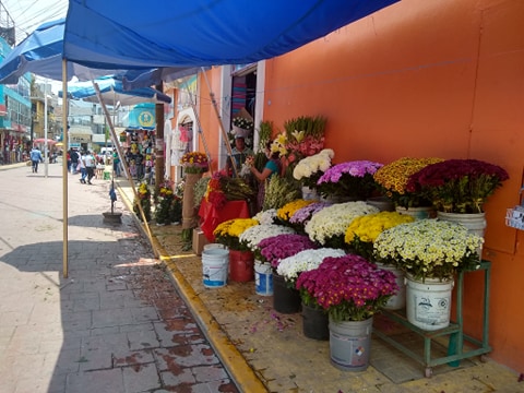 Prevén florerías y comercios de Tehuacán bajas ventas este 10 de mayo
