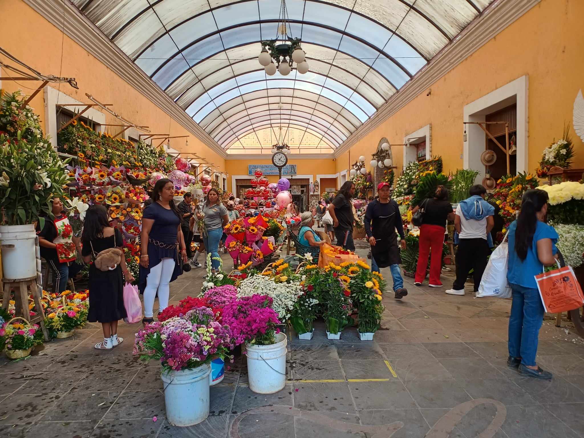 Precio de la flor en Tehuacán marchita ventas este 10 de mayo