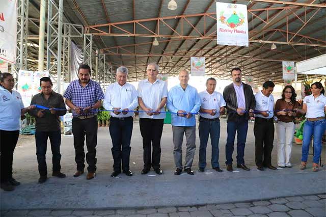 Inauguran la décimo cuarta Expo Flores y Plantas de Atlixco