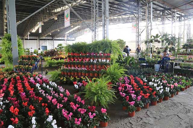 Inauguran la décimo cuarta Expo Flores y Plantas de Atlixco