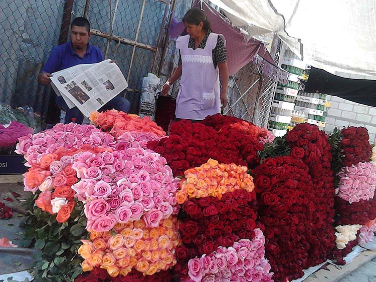 Comercializarán rosas poblanas en mercados de EUA