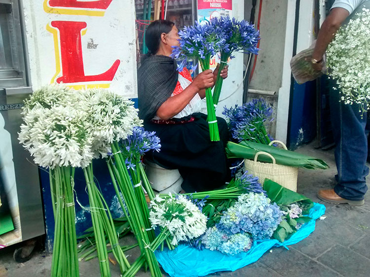 Huauchinango vive aumento en venta de flores por 10 de Mayo