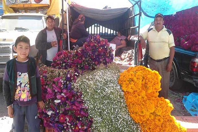 Hasta 300 toneladas de flores venderán para ofrendas en Texmelucan