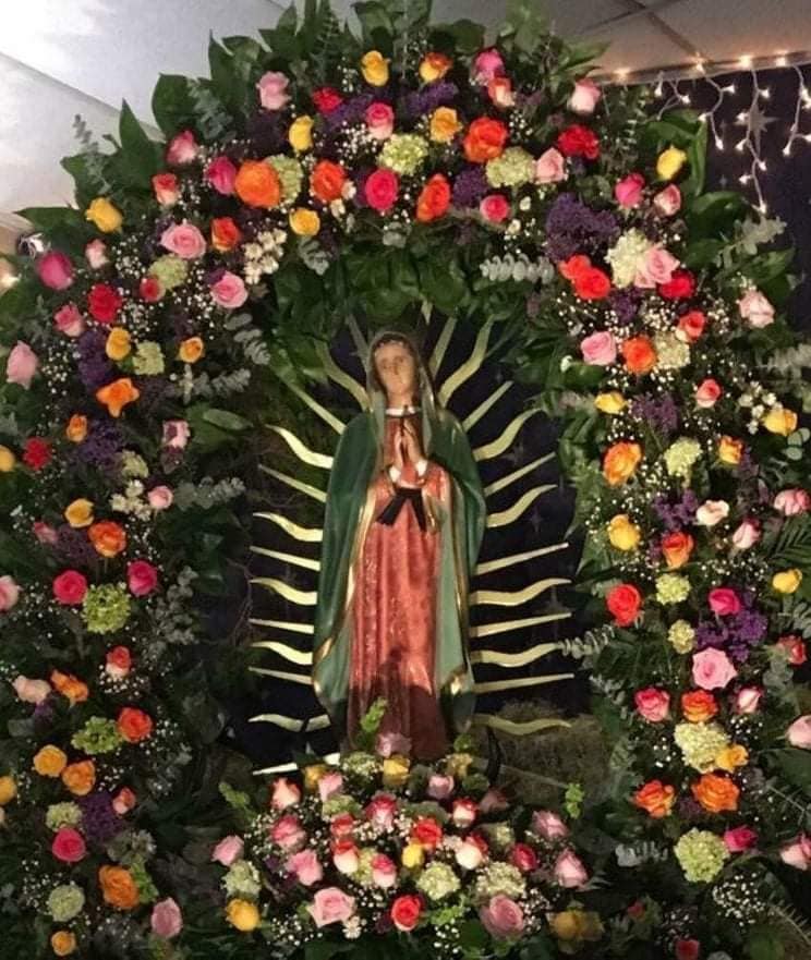 Por celebración de la Virgen de Guadalupe se encarecen las flores |  Municipios Puebla | Noticias del estado de Puebla