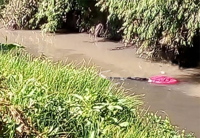 Tras balacera sacan de barranca cadáver flotando en Texmelucan