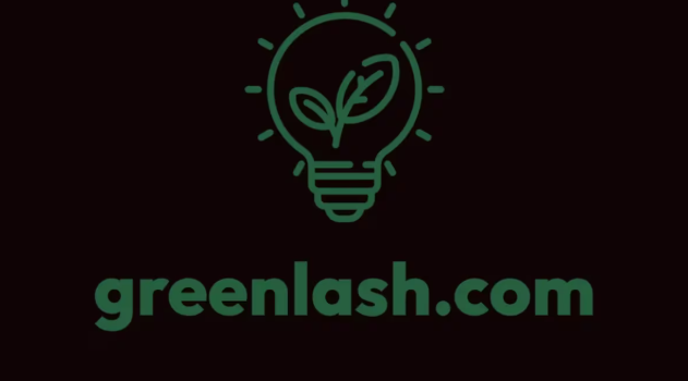 Greenlash o los límites del ambientalismo. ¿No hay soluciones baratas?