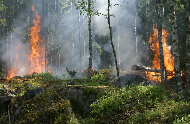 En aumento problemas respiratorios por incendios en Amazonas
