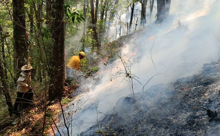 Figura Puebla en primeros 10 sitios en incendios forestales este 2024