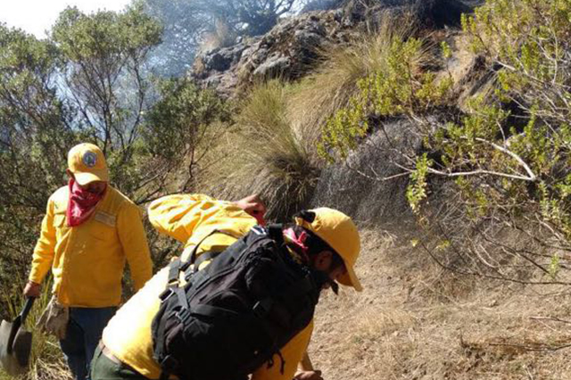 Incendio consume 70 hectáreas del Parque Nacional Pico de Orizaba