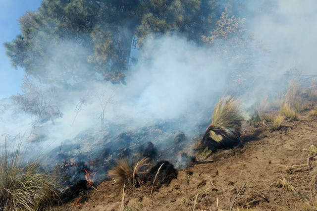 Incendio consume 70 hectáreas del Parque Nacional Pico de Orizaba