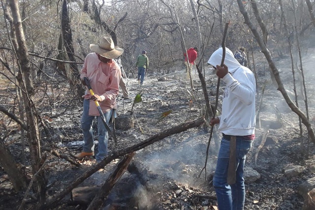 Protección Civil, sin registro de nuevos incendios forestales