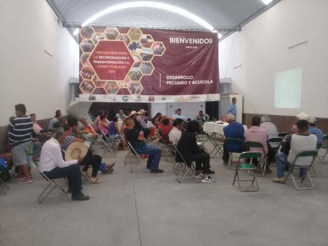 Inseguridad y comercialización preocupa a ganaderos de la Mixteca