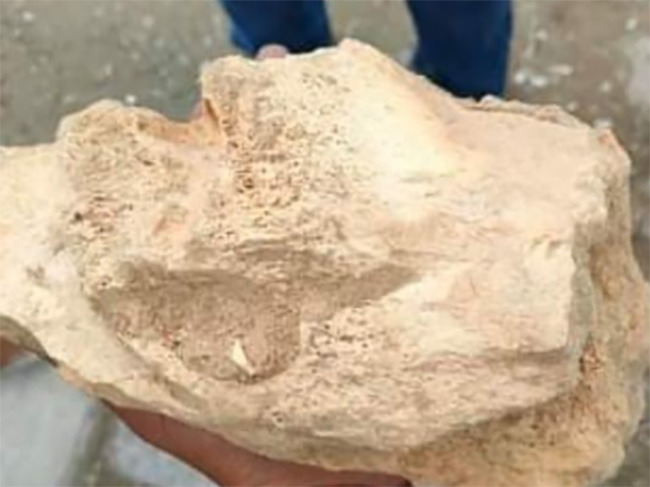 Encuentran supuestos fósiles en los Reyes de Juárez 