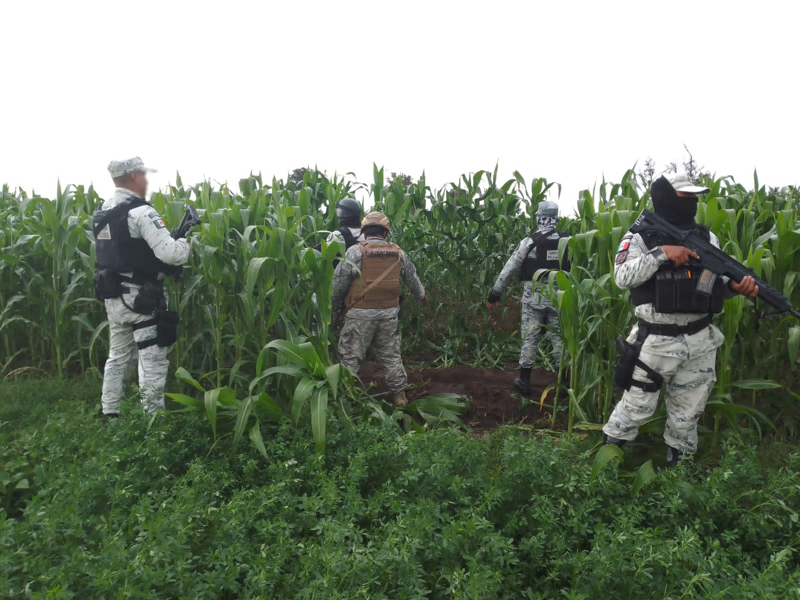 Guardia Nacional encuentra otra toma clandestina en San Martín Texmelucan