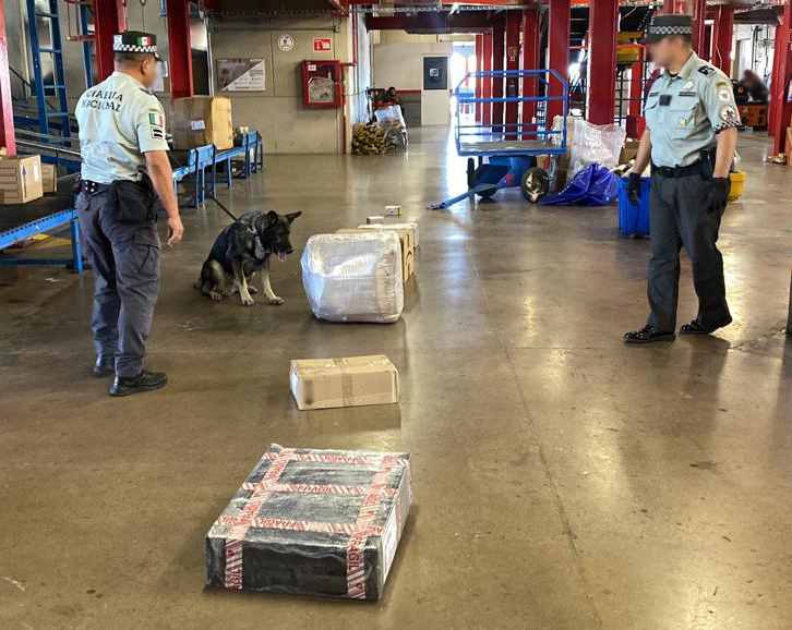 Aseguran droga sintética cristal y 40 kilos de marihuana en empresa de mensajería