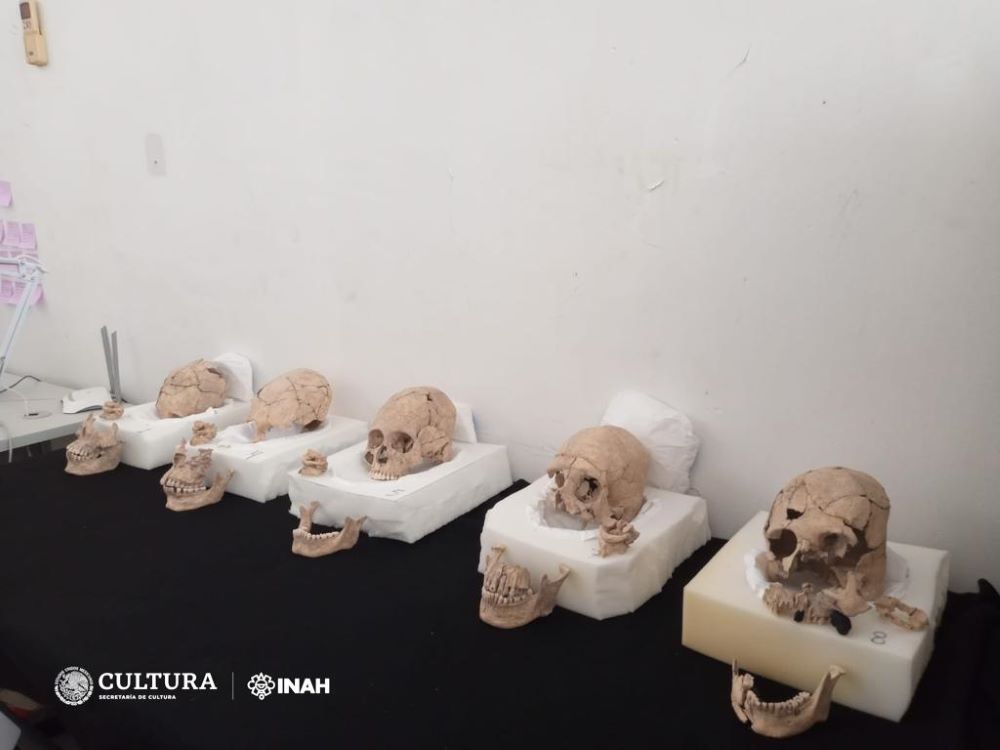 INAH confirma decapitación en individuos ofrendados a templo en Tabasco