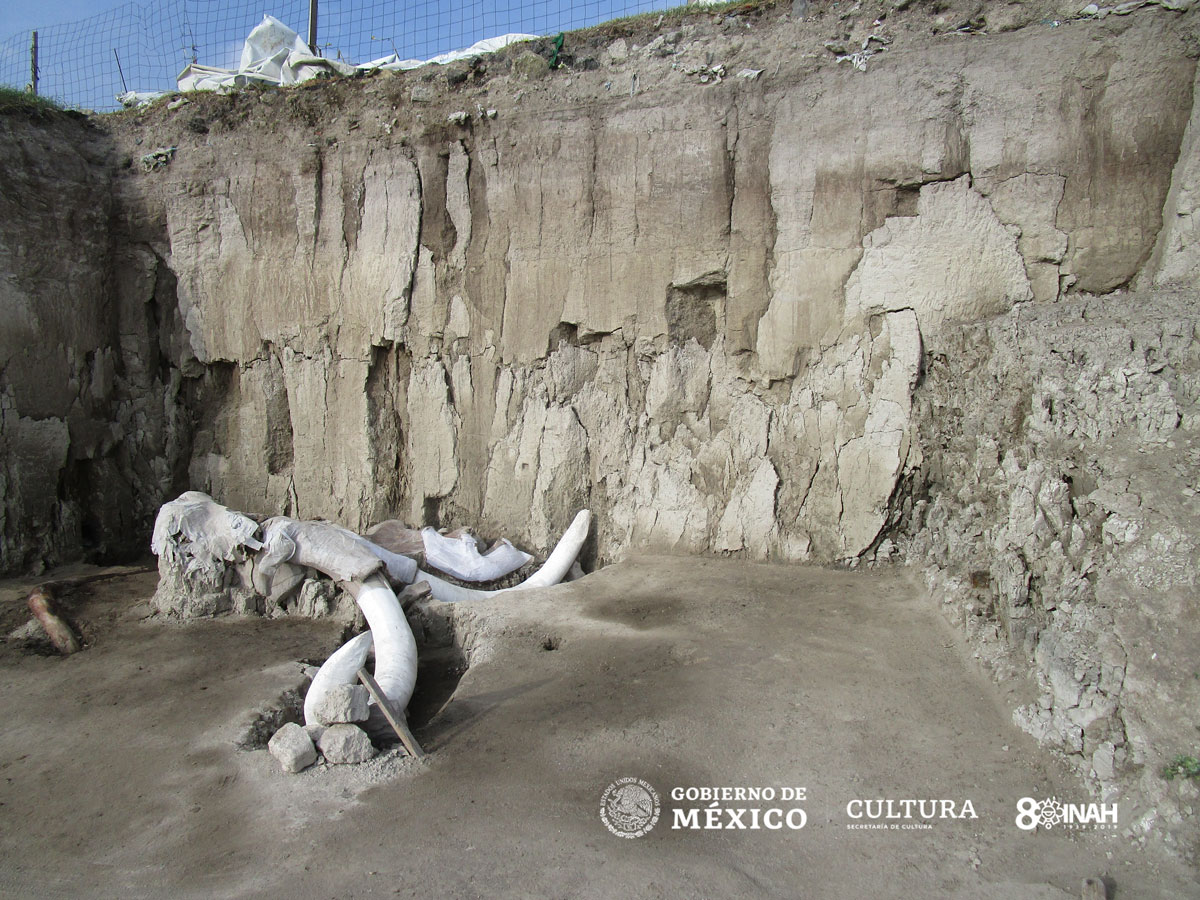 Hace INAH un recuento de sus hallazgos 2019; hay uno en Tehuacán 