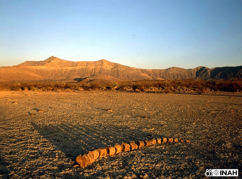 Rincón Colorado, 6 años de ser la única zona paleontológica en México abierta al público 