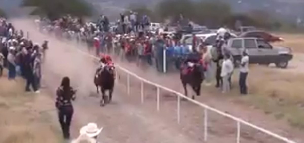 Carrera de caballos termina en riña con cinco muertos en Querétaro