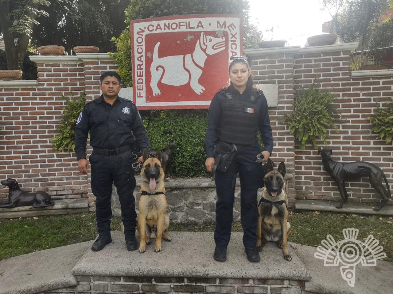 Federación Canófila Mexicana distingue a perros de la Secretaría de Seguridad de Puebla