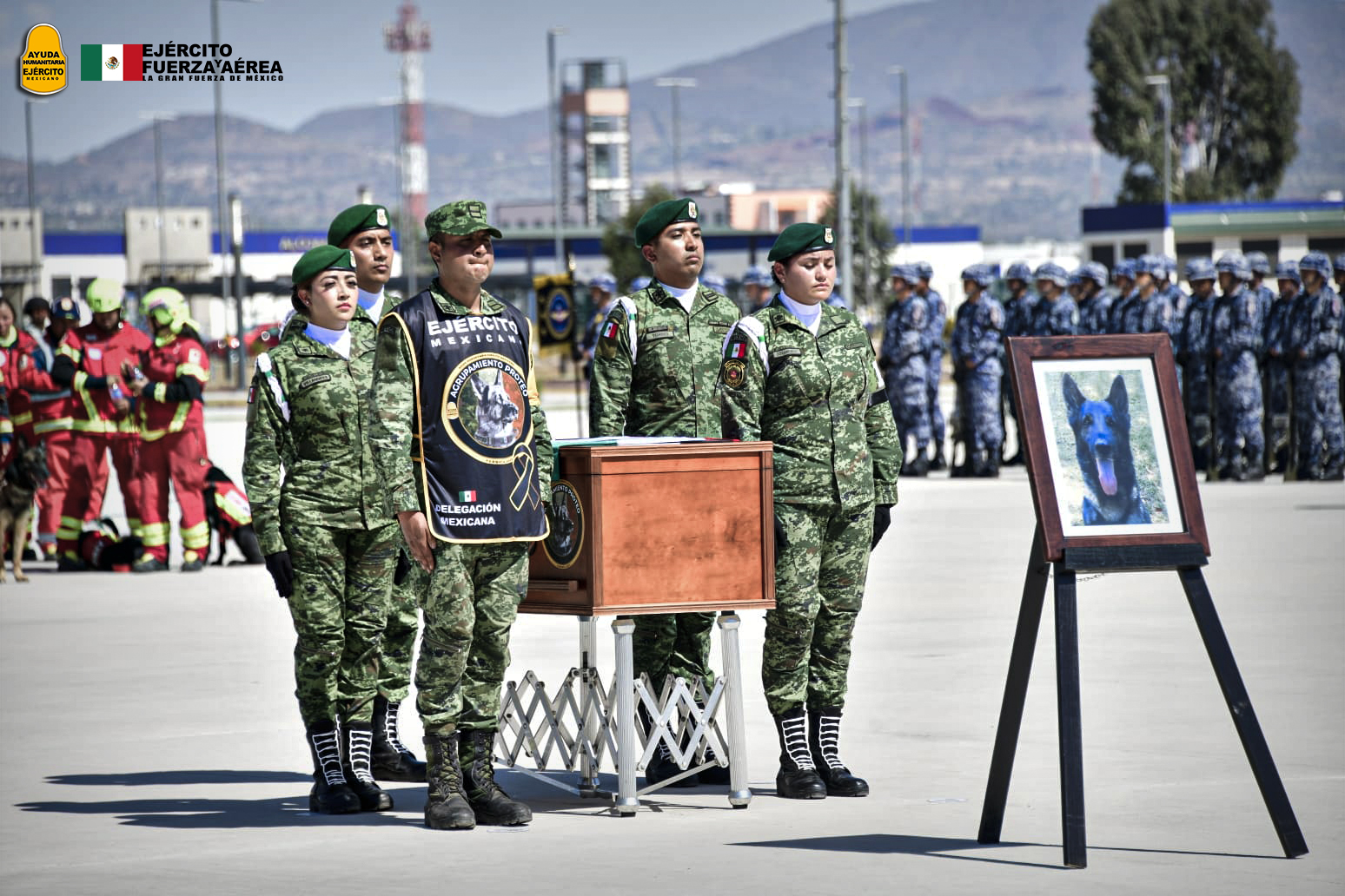 Proteo regresa a México y le rinden honores como un héroe