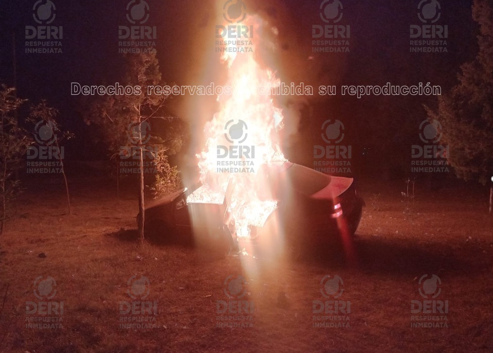 Auto choca contra barda perimetral del Parque Ecológico y termina calcinado