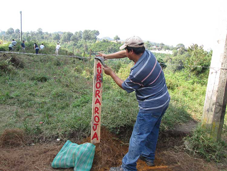 Advierten fraude en venta de terrenos en Huauchinango